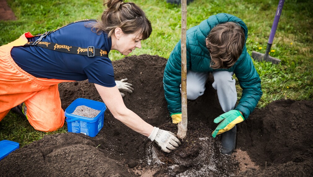 Semaine nationale de l'arbre et de la forêt - 31 nouveaux arbres pour deux écoles