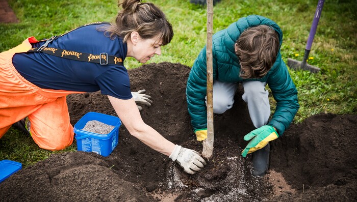 Semaine nationale de l'arbre et de la forêt - 31 nouveaux arbres pour deux écoles