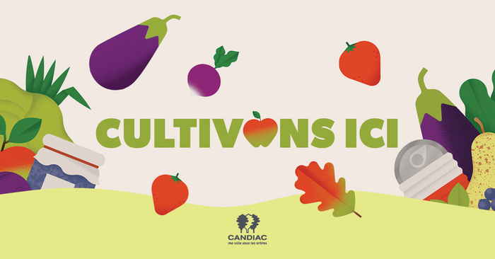 Lancement de la programmation Cultivons ici - Agriculture urbaine