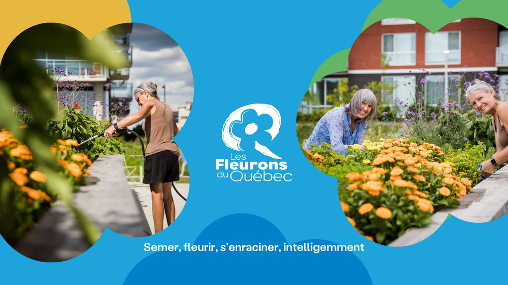 Nos 5 Fleurons, une fierté durable et collective - Préparons la venue des juges cet été